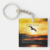 Ik zie de goedheid van de Lord Psalm 27:13-14