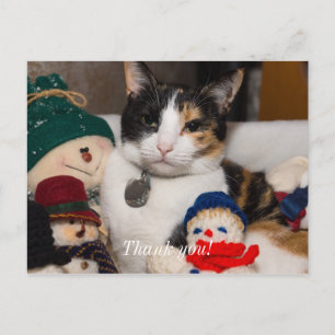 Ik zie een postkaart met een calico kat