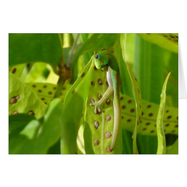 Ik zie je (Voorkant Horizontaal)