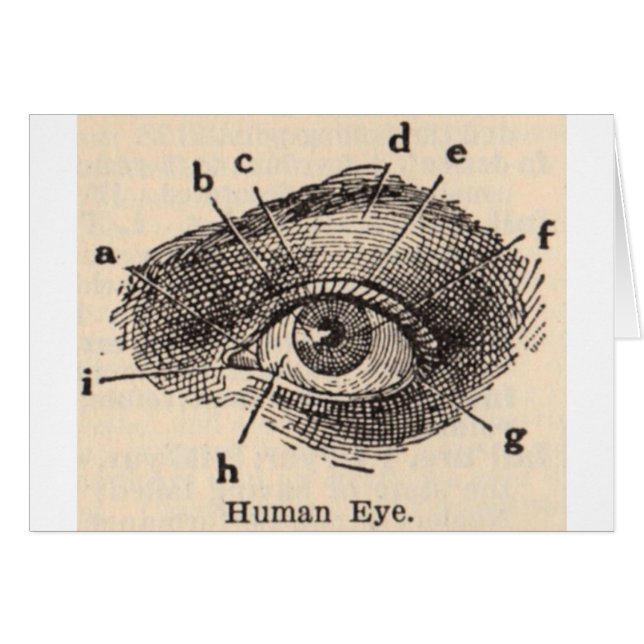 Ik zie je (Voorkant Horizontaal)