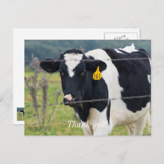 Ik Zie Je Bedankt Ansichtkaart Briefkaart (Voorkant / Achterkant)