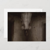 Ik zie je briefkaart (Voorkant / Achterkant)