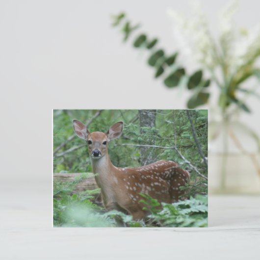 Ik zie je briefkaart (Staand voorkant)