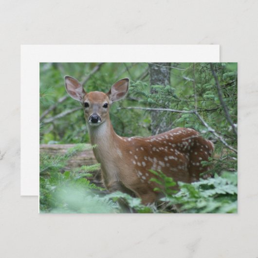 Ik zie je briefkaart (Voorkant / Achterkant)