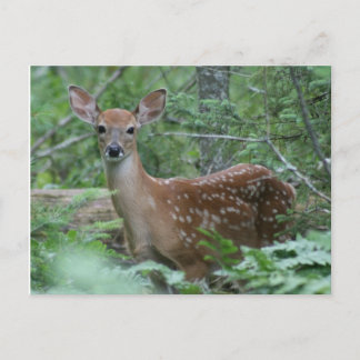 Ik zie je briefkaart