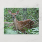 Ik zie je briefkaart (Voorkant)