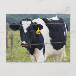 Ik zie je briefkaart