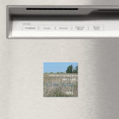 Ik zie je daar magneet (Insitu (Vaatwasser))