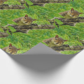 Ik zie je eekhoorn cadeaupapier (Hoek)