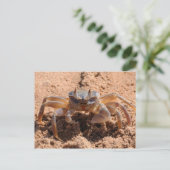 Ik zie je - krab op het strand dicht bij briefkaart (Staand voorkant)