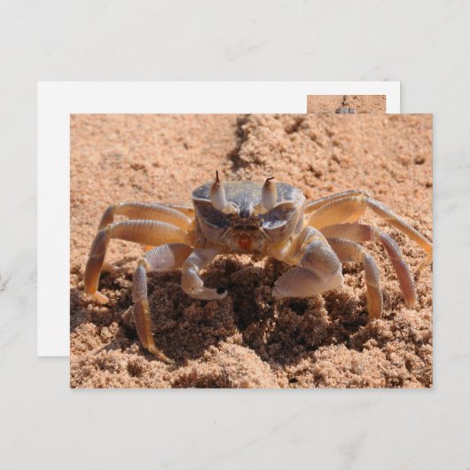 Ik zie je - krab op het strand dicht bij briefkaart (Voorkant / Achterkant)
