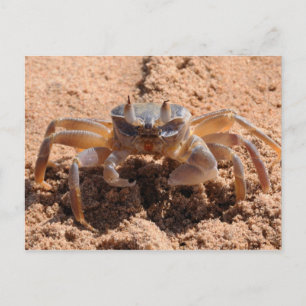 Ik zie je - krab op het strand dicht bij briefkaart