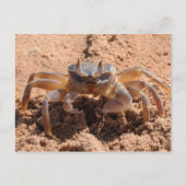 Ik zie je - krab op het strand dicht bij briefkaart (Voorkant)