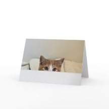 "Ik zie je" - Louie glundert