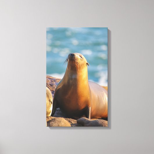 Ik zie je niet kijken. canvas afdruk (Voorkant)