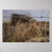 Ik zie je! poster (Voorkant)