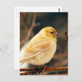 Ik zie Lente Briefkaart (Voorkant / Achterkant)