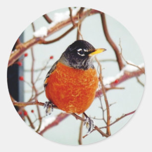 Ik zie Lente Ronde Sticker