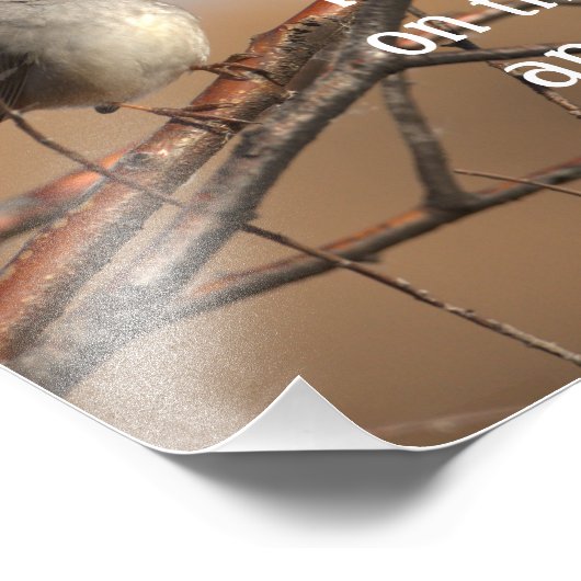 Ik zing omdat ik blij ben Sparrow Foto Afdruk (Hoek)