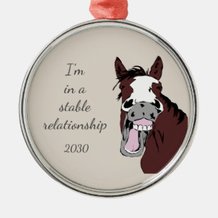 Ik zit in een Stable Relatie Fun Horse Pun Metalen Ornament
