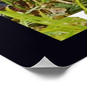 Ik zou een lang ijzer voorstellen poster (Hoek)