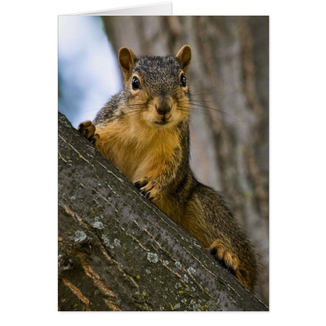 Ik zou geïnteresseerd kunnen zijn (Voorkant)