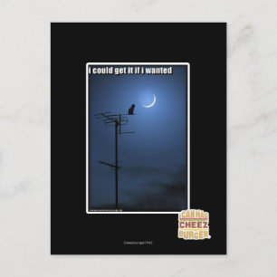 Ik zou het kunnen krijgen als ik wilde briefkaart