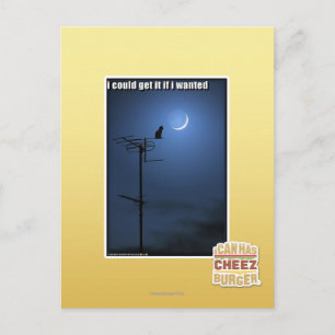 Ik zou het kunnen krijgen als ik wilde briefkaart