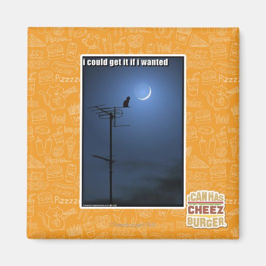 Ik zou het kunnen krijgen als ik wilde magneet (Voorkant)