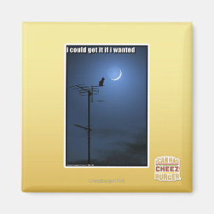 Ik zou het kunnen krijgen als ik wilde magneet