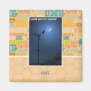 Ik zou het kunnen krijgen als ik wilde magneet