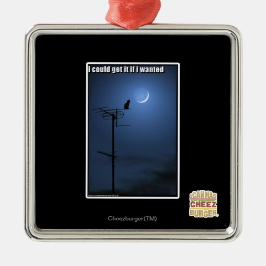 Ik zou het kunnen krijgen als ik wilde metalen ornament (Voorkant)