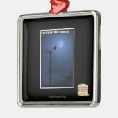 Ik zou het kunnen krijgen als ik wilde metalen ornament (Links)