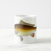 Ik zou liever de Mok van de karpervisserij zijn (Center)