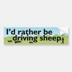 Ik zou liever schaap rijden bumpersticker