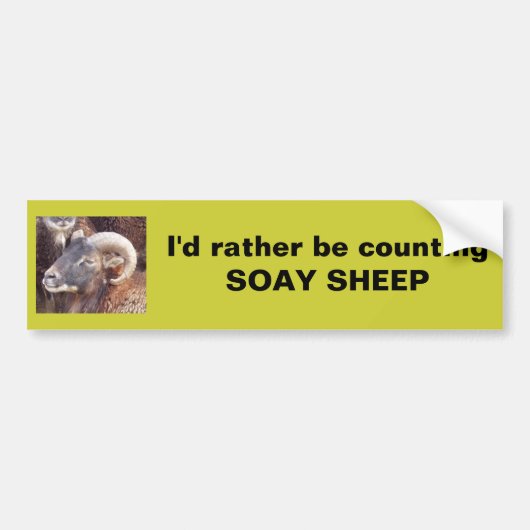 Ik zou liever SOAY SHEEP tellen Bumpersticker (Voorkant)