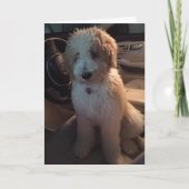 IK ZOU MIJLENVER RIJDEN OM EEN GELUKKIGE VERJAARDA KAART (Voorkant)