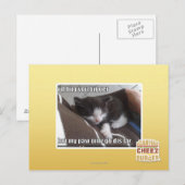 Ik zou u groter koesteren briefkaart (Voorkant / Achterkant)