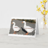 Ik zou u overal volgen kaart (Gele Bloem)