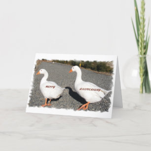 Ik zou u overal volgen kaart