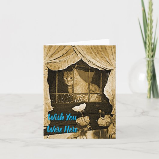 Ik zou willen dat u hier~Cat in het venster was Kaart (Voorkant)