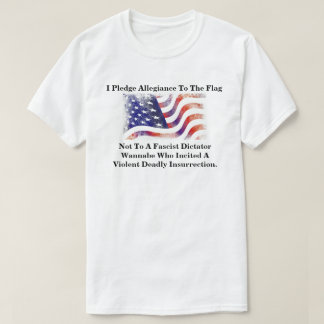 Ik zweer trouw aan de vlag niet............... t-shirt