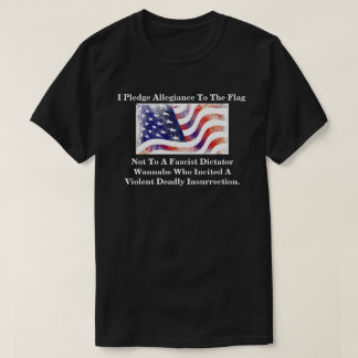 Ik zweer trouw aan de vlag niet............... t-shirt