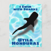 Ik zwom met Sharks Utila, Honduras Whale Shark Briefkaart (Voorkant)