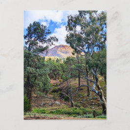 Ikara-Flinders Ranges SA Briefkaart