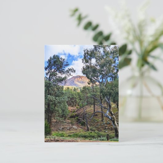 Ikara-Flinders Ranges SA Briefkaart (Staand voorkant)