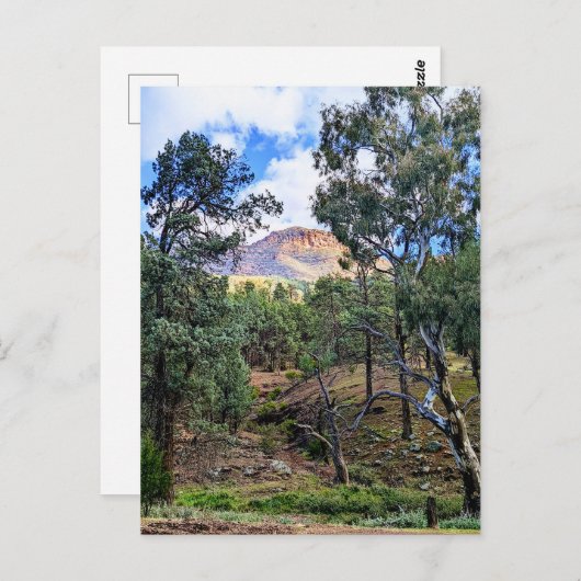 Ikara-Flinders Ranges SA Briefkaart (Voorkant / Achterkant)