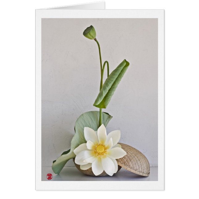 Ikebana-042 (Voorkant)