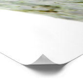 Ikura (Salmon Roe) Gunkan Maki Sushi Poster (Hoek)