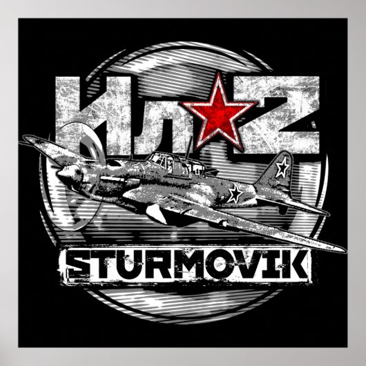 Il-2 Shturmovik Poster (Voorkant)